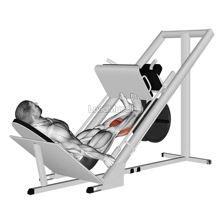 Sled Calf Press On Leg Press demonstration