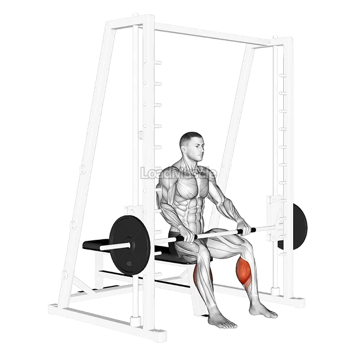 Smith Toe Raise demonstration