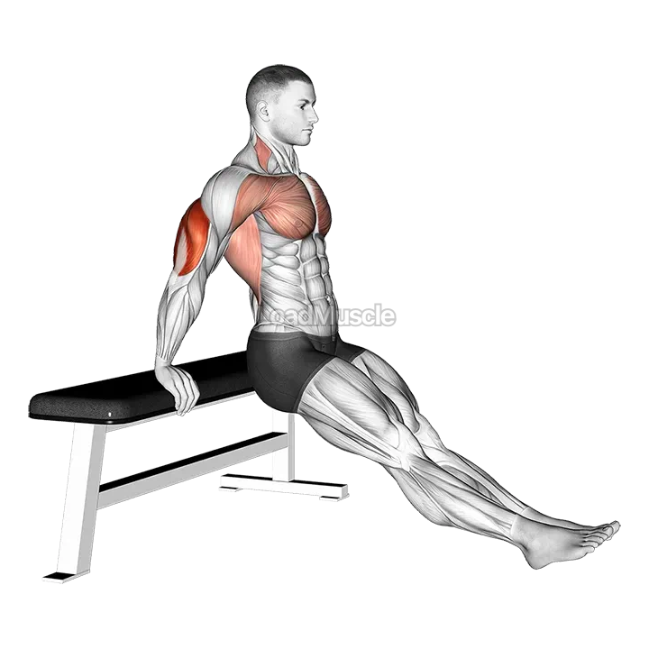 Bench dip on floor demonstration