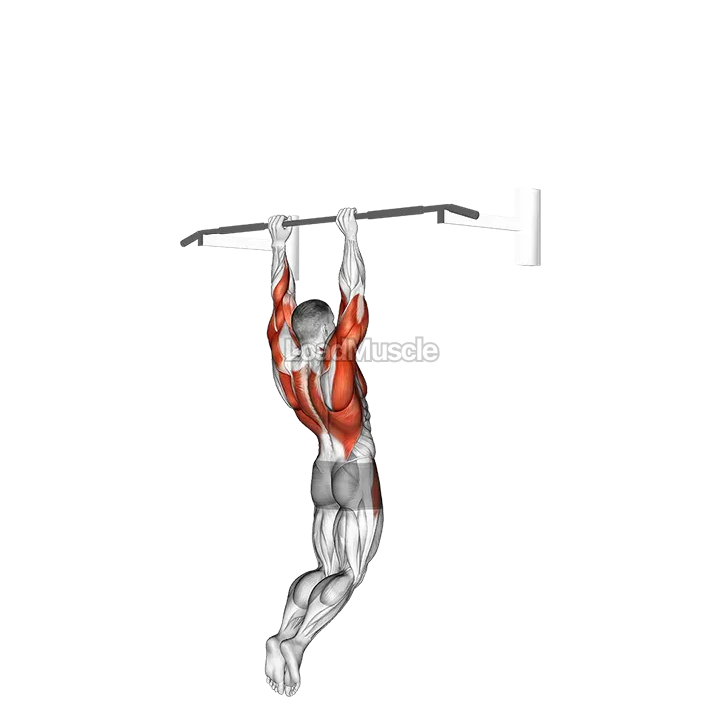 Muscle up (on vertical bar) demonstration