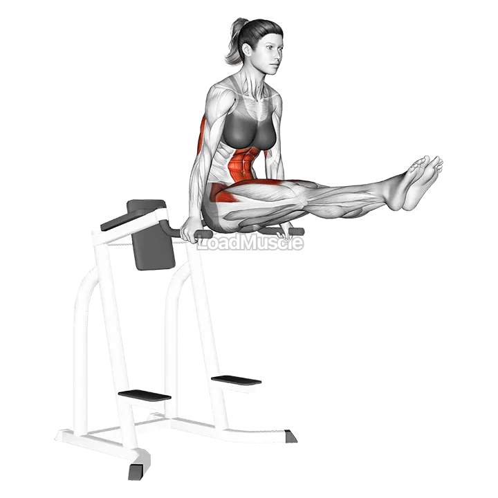 L-sit demonstration