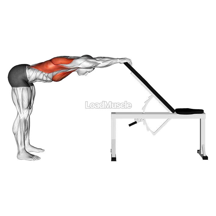 Back Pec Stretch demonstration