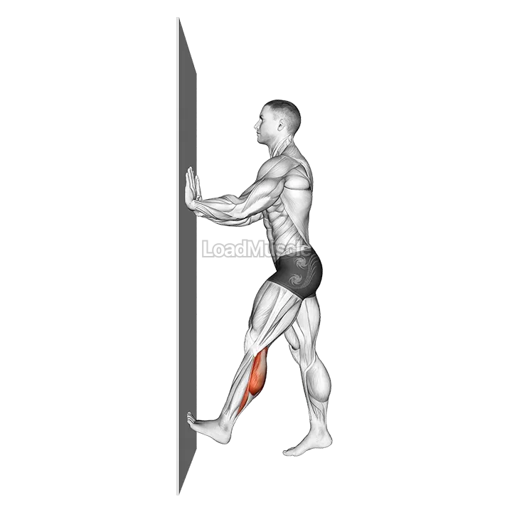 Calf Push Stretch With Hands Against Wall demonstration