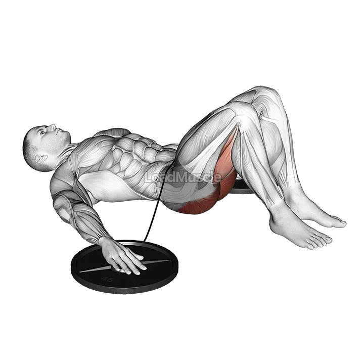 Band Hip Lift demonstration