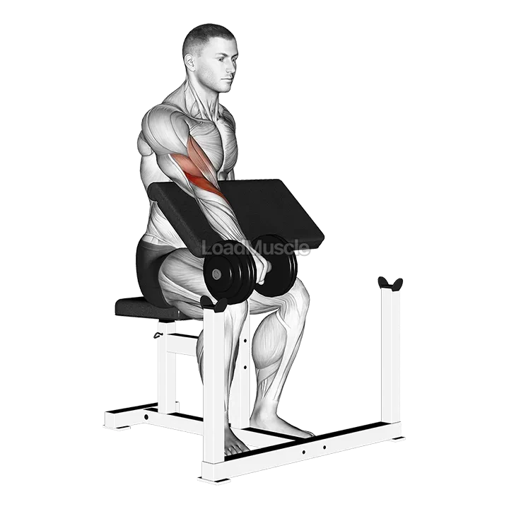 Dumbbell One Arm Reverse Preacher Curl demonstration