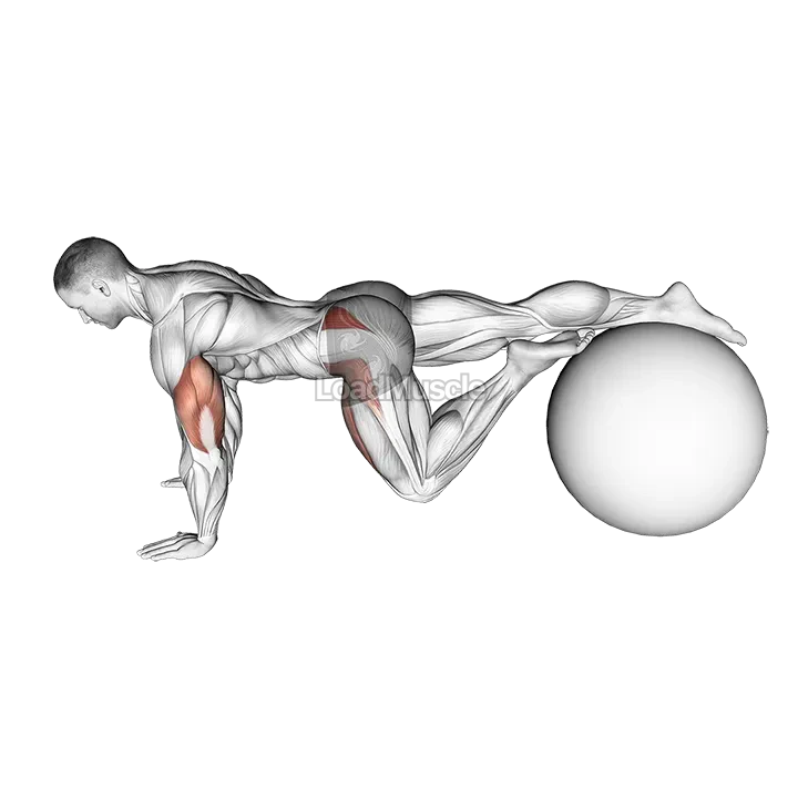 Exercise Ball One Leg Prone Lower Body Rotation demonstration