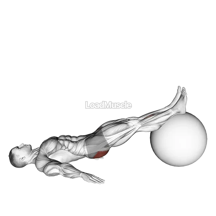 Exercise Ball One Legged Diagonal Kick Hamstring Curl demonstration