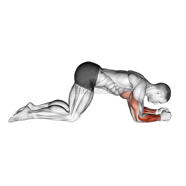Modified Push Up to Forearms demonstration