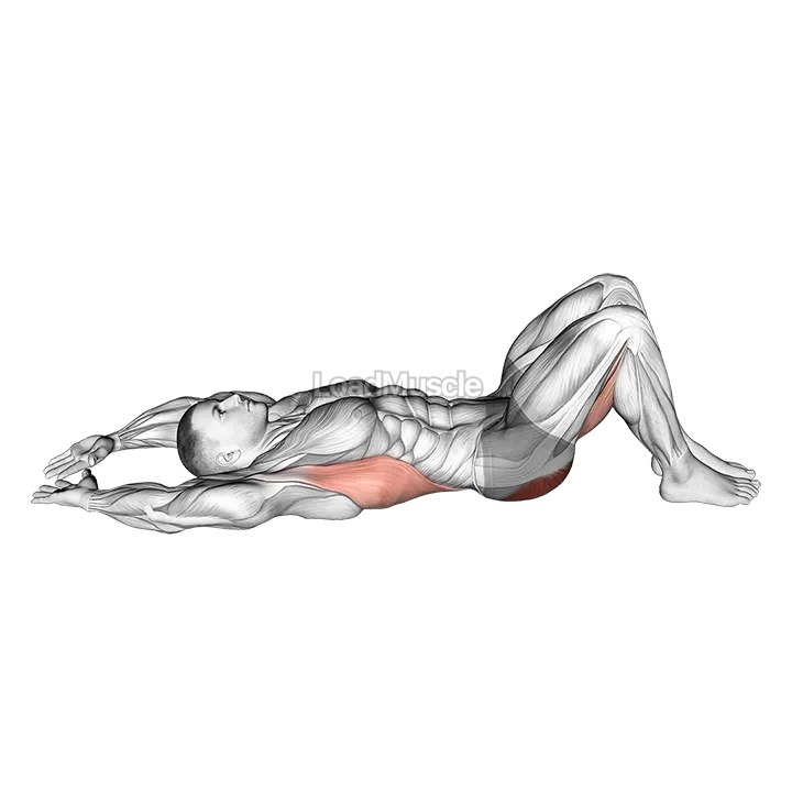 Pelvic Tilt Into Bridge demonstration