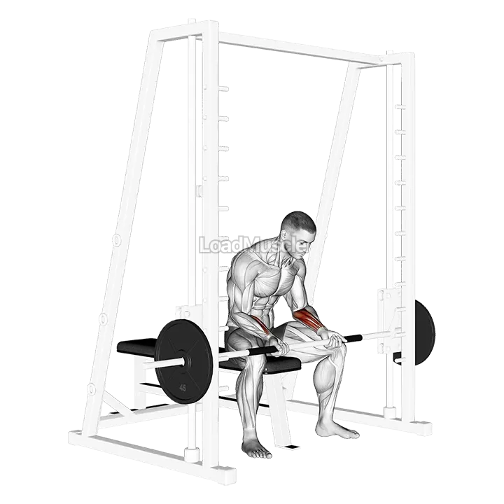 Smith Seated Wrist Curl demonstration