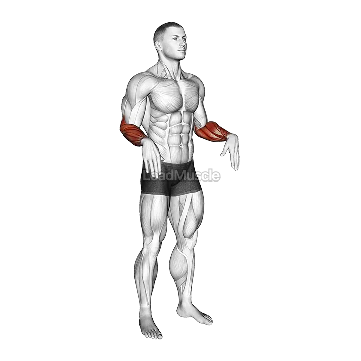 Wrist Circles demonstration