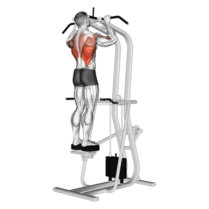 Assisted Standing Pull-up demonstration