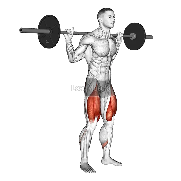 Barbell Low Bar Squat demonstration