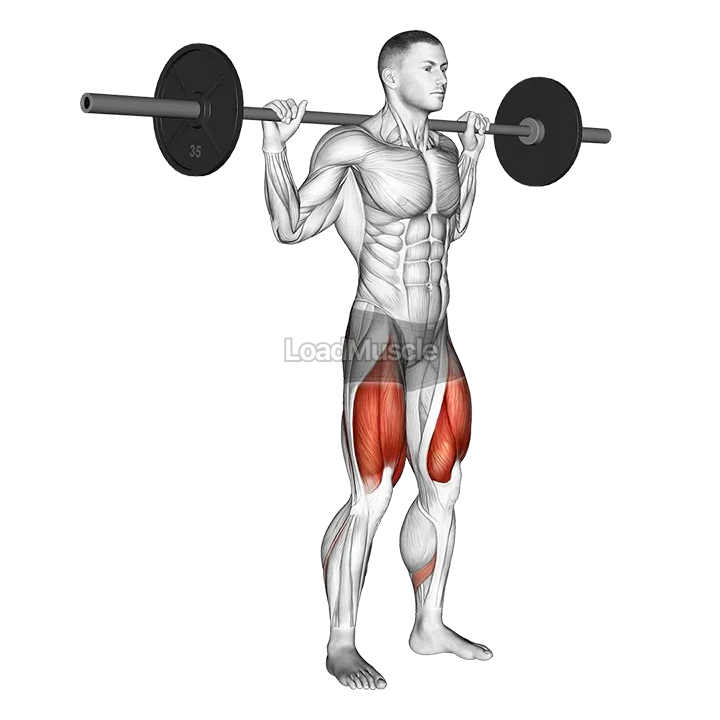 Barbell High Bar Squat demonstration
