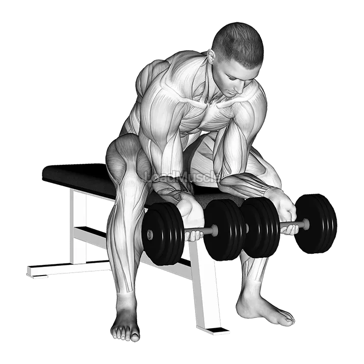 Dumbbell finger curls demonstration