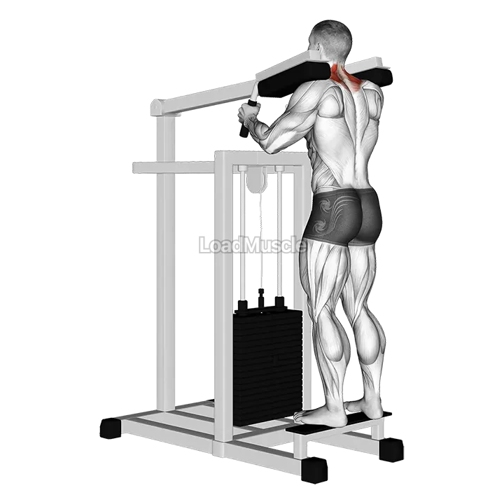 Lever Gripless Shrug demonstration