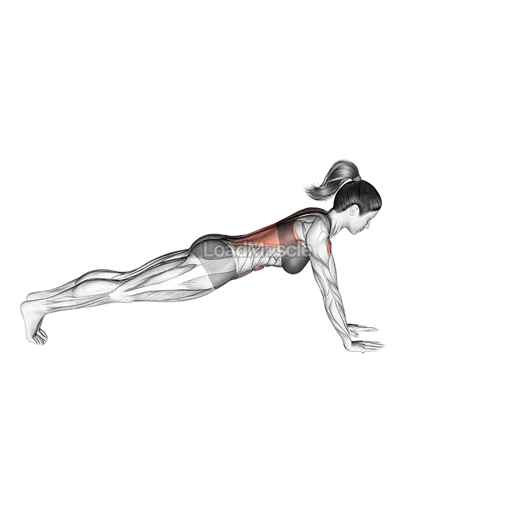 Plank arm lifts demonstration