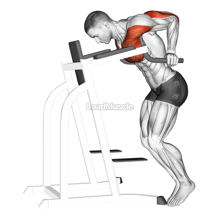 Dip Hold demonstration
