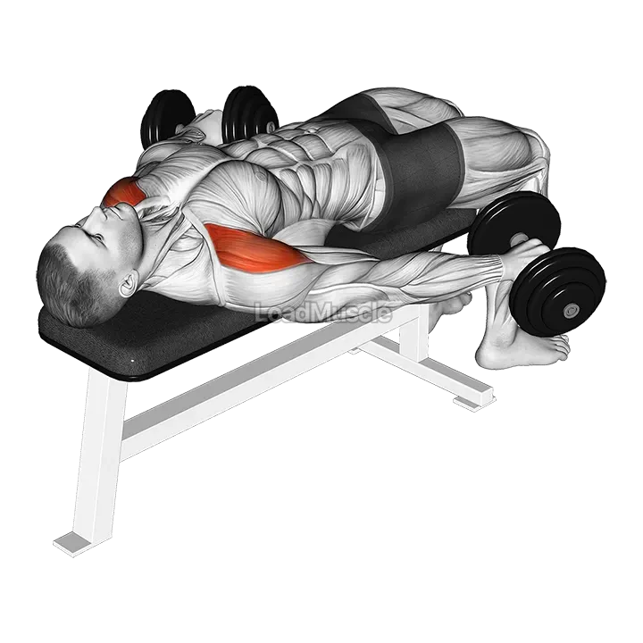 Dumbbell Lying Pronated Grip Maltese Hold demonstration