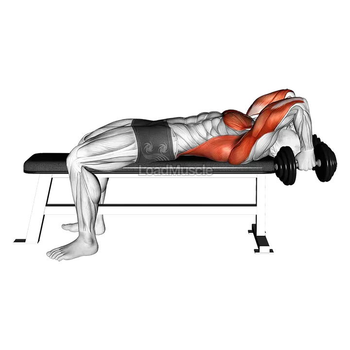 Dumbbell Bent Arm Pullover Hold demonstration