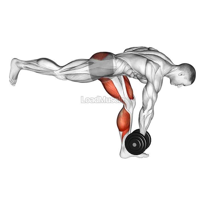 Dumbbell RDL Stretch demonstration