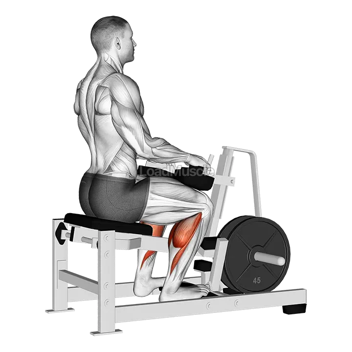 Lever Calf Stretch (plate loaded) demonstration