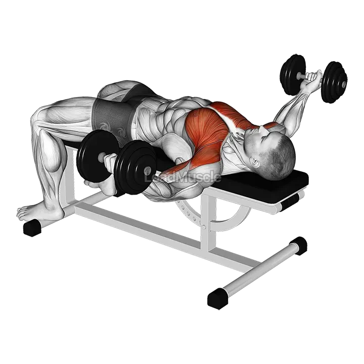 Dumbbell Flat Flye Hold demonstration