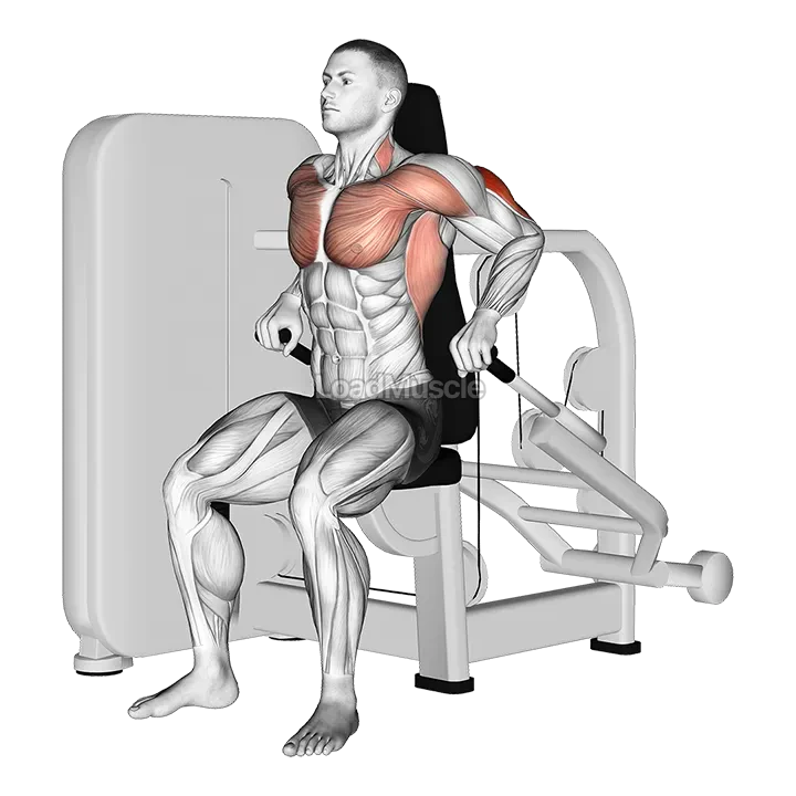 Lever Seated Dip demonstration