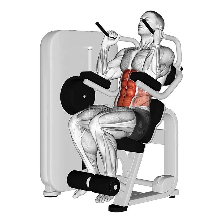 Lever Seated Crunch demonstration