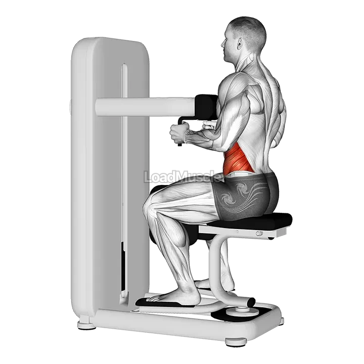 Lever Seated Twist demonstration