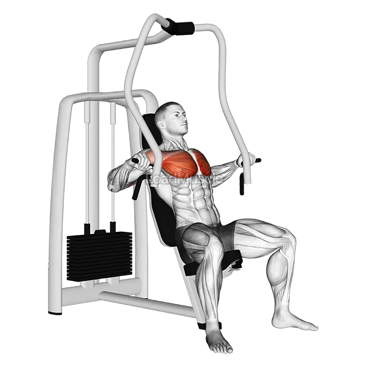 Lever Chest Press demonstration