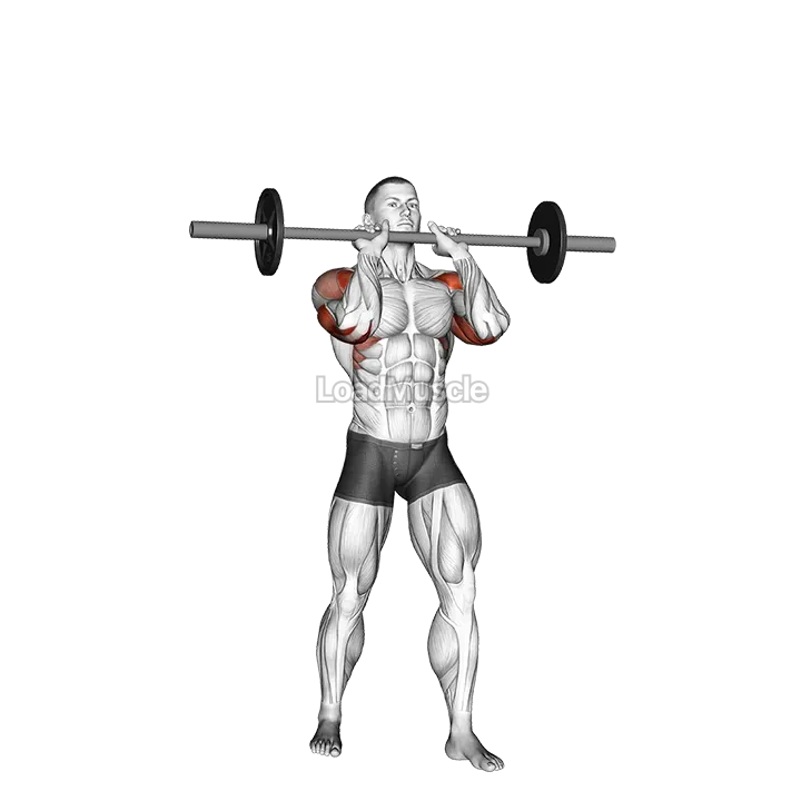 Barbell Standing Close Grip Military Press demonstration