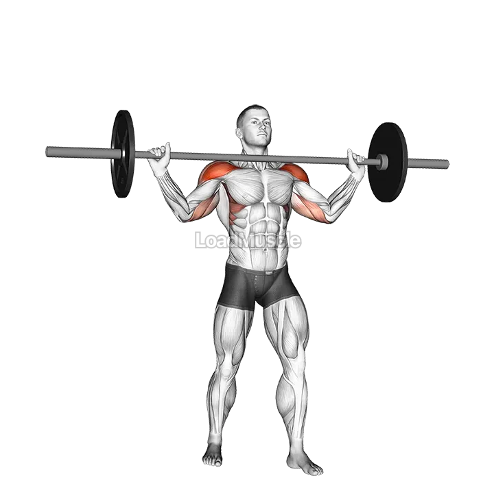 Barbell Standing Wide Military Press demonstration