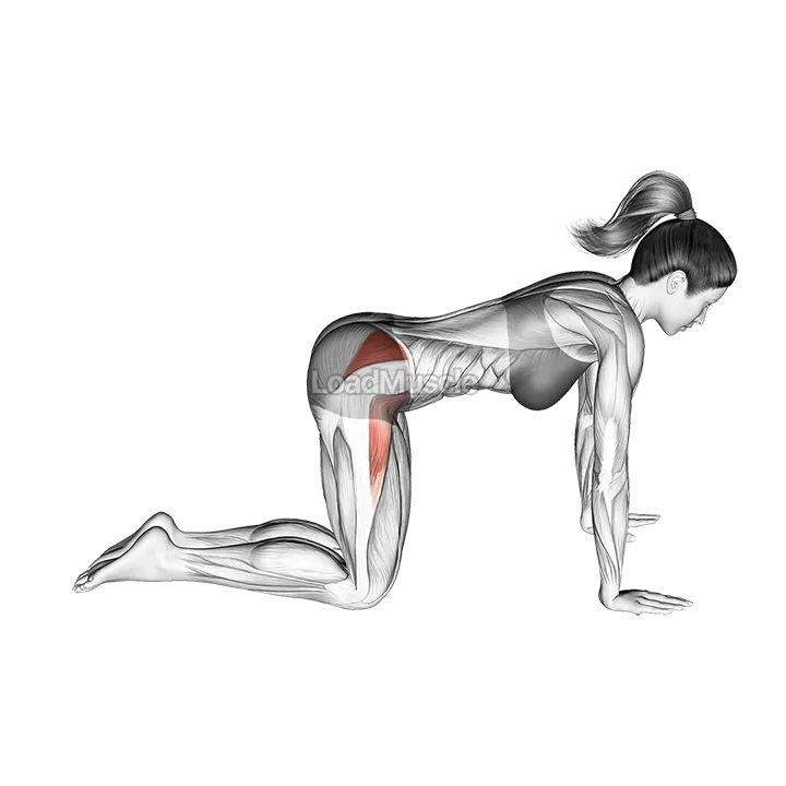 Bent Leg Side Kick (kneeling) demonstration