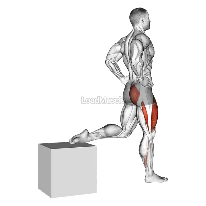 One Leg Squat demonstration