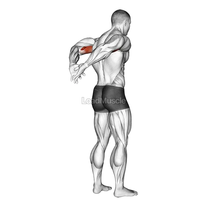 Biceps Stretch Behind The Back demonstration
