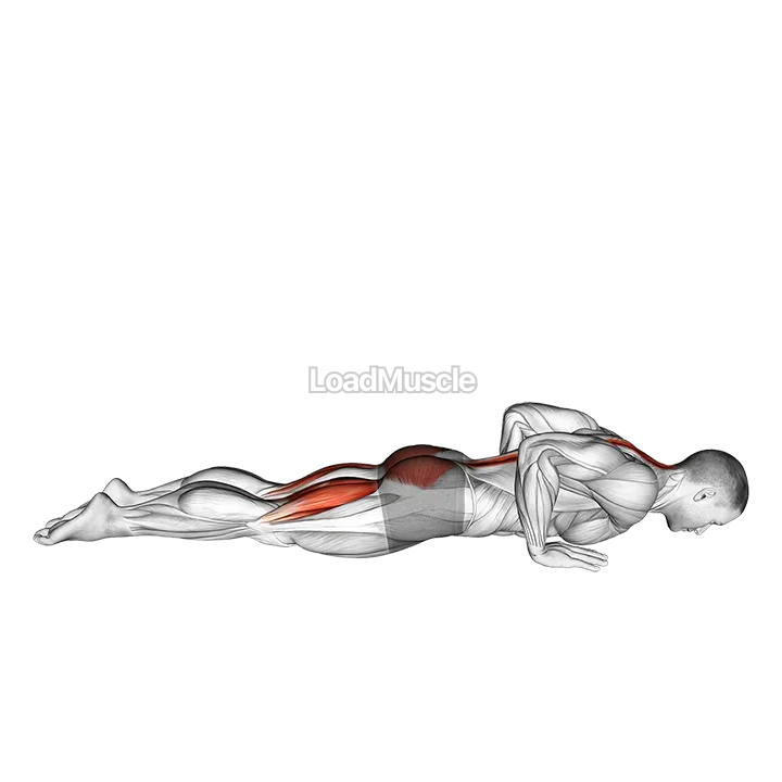 Cobra Yoga Pose demonstration