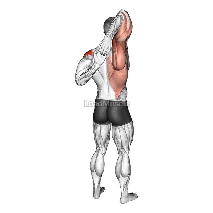 Shoulder Stretch Behind the Back demonstration