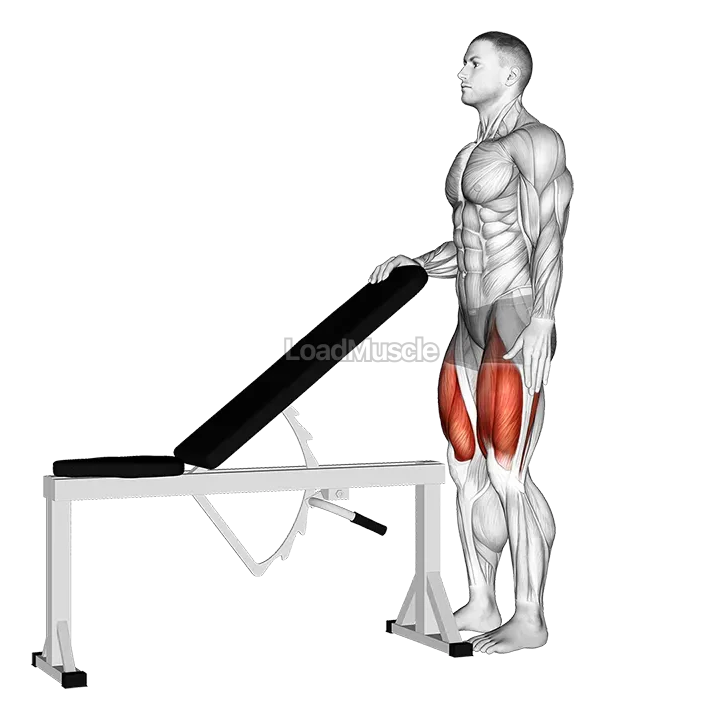 Sissy Squat Bodyweight demonstration