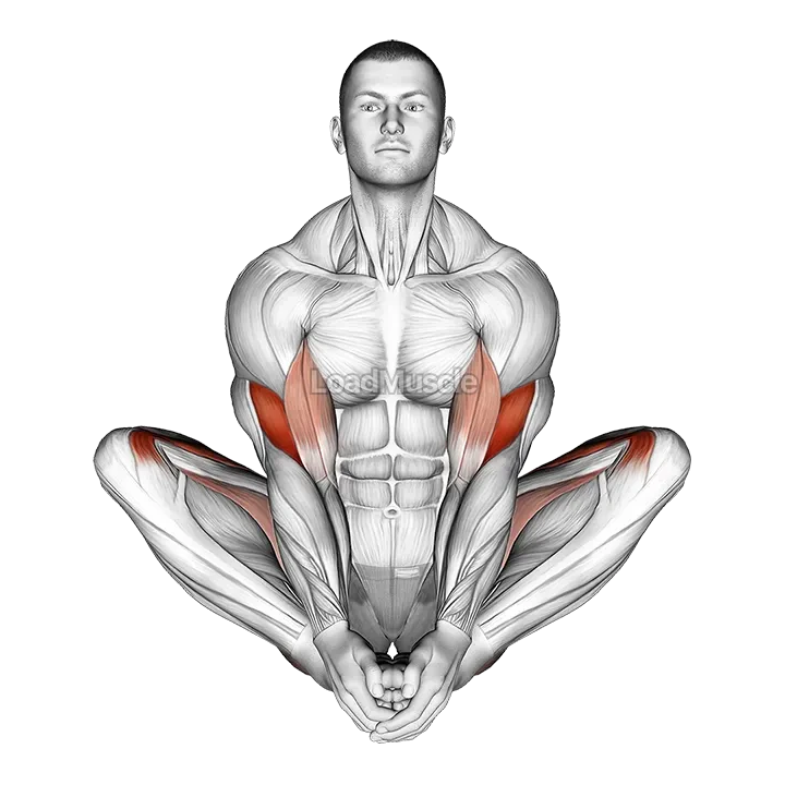 Butterfly Yoga Pose demonstration