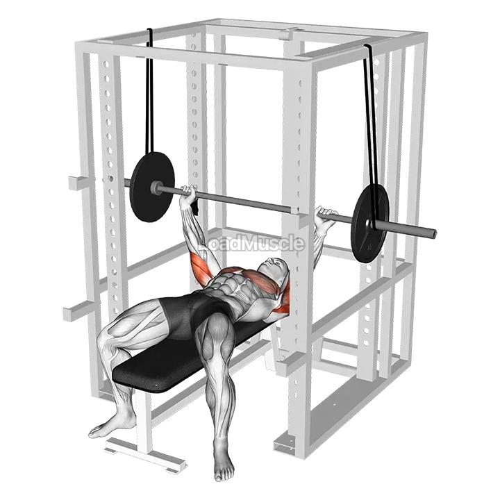 Barbell Reverse Band Bench Press demonstration