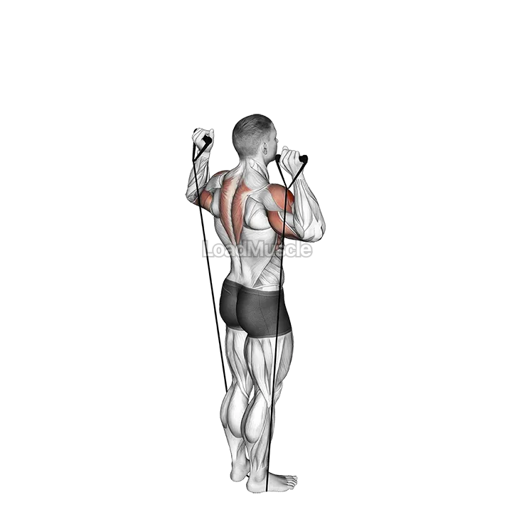 Band Behind Neck Shoulder Press demonstration