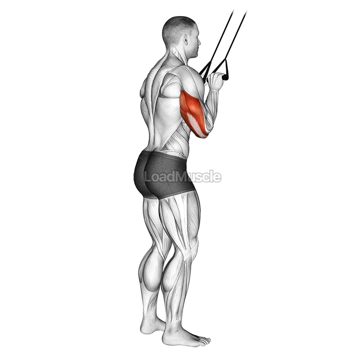 Band Pushdown demonstration