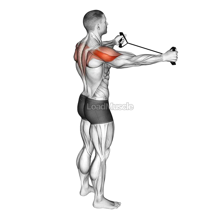 Band Pull Apart demonstration