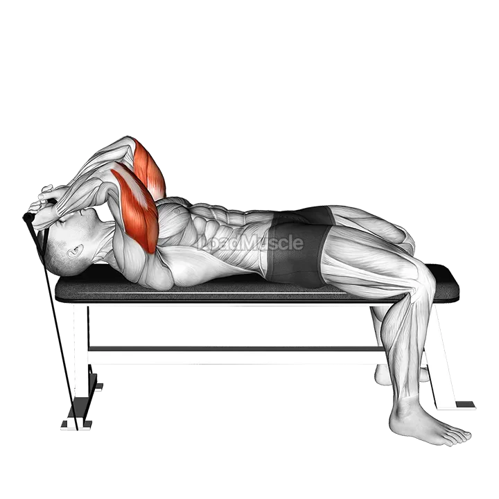 Band Skull Crusher demonstration