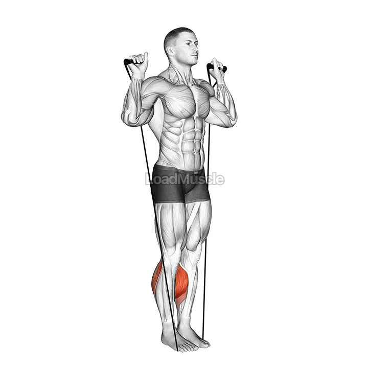 Band Calf Raise demonstration