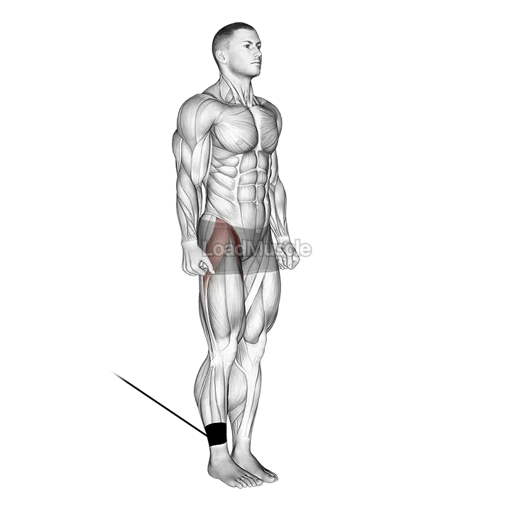 Band Hip Flexion demonstration