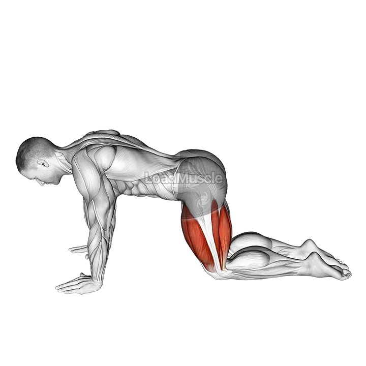 All Fours Squad Stretch demonstration