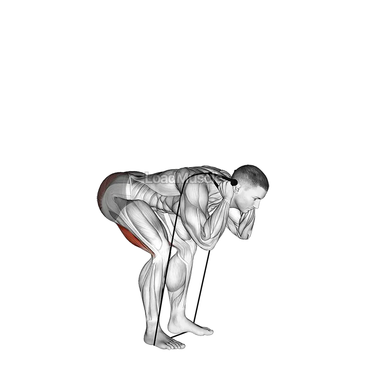 Band Good Morning demonstration