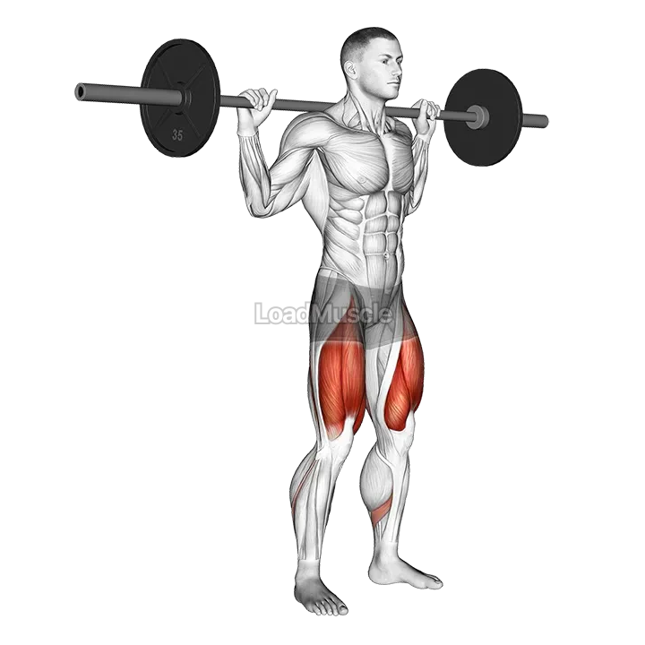 Barbell Quarter Squat demonstration